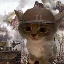 kitty1000yardstare
