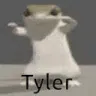 tyler