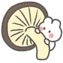 mush_peer