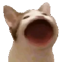 Yap