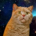 3_Hach1_Meme_neko 3_Hach1_Meme_neko
