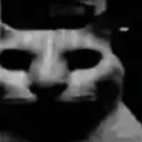 deathcat