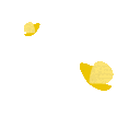 yellow animated GIF emoji | Lemniscate Network