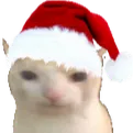 xmasbruhcat