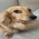side_eye Discord emoji