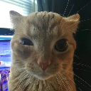 :catoEyeTwitch: