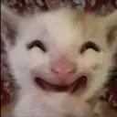 sobbingGLORIOUS