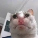 lemmecry