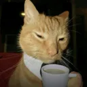 tellmemorekibby tellmemorekibby