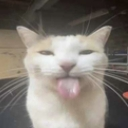 SG_lenguita Discord emoji