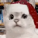 Nopexmas