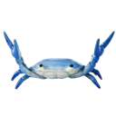crab