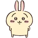 usagi