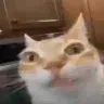 ermStatic