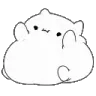 fatcat