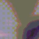 lynnwolf1