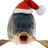 christmasfish