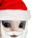 christlas_mmeowdy