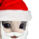 christlas_mmeowdy