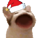christmaspopcat