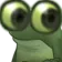 1k_frog_stare