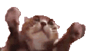 clappi Discord emoji