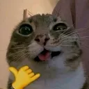 emoji_447 emoji_447