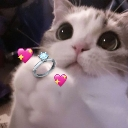 emoji_48 Discord sticker from Late Night