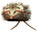 Mirefolk Discord sticker | Enclave76 | Enclave Executive Command