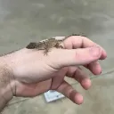 Screenshot20251123163430