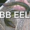 bbeel