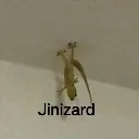 jinsi