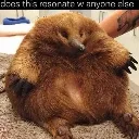 knuckles
