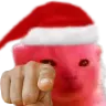 FestiveRorpPoint