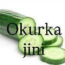 Jinieatsokurka Jinieatsokurka