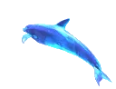 spinning_dolphin