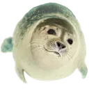 seal1