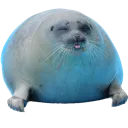 seal4