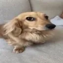 um um