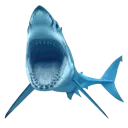 sharkWHATT