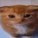 really Discord emoji