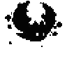 batfly