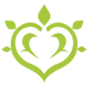 9532dendrogenshinimpact