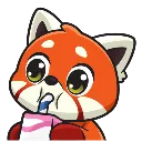 Redpandadrink