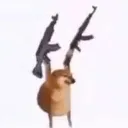 dog_gun