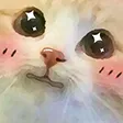 DNS_catBlush
