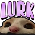 DNS_catLurk