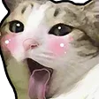 DNS_catBlush2