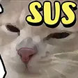 DNS_catSus