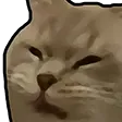 DNS_catDisgust